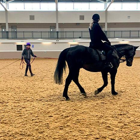 Trainer and horse in arena