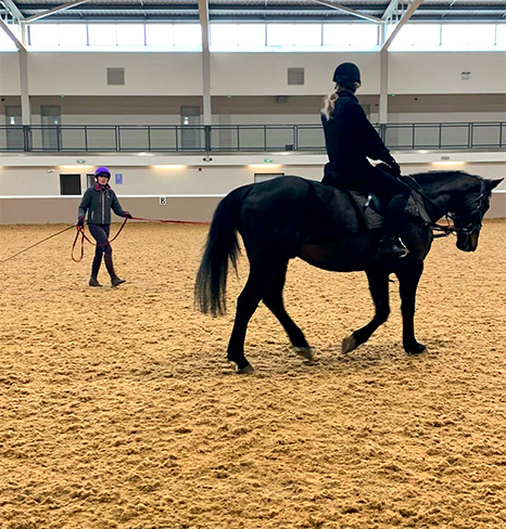 Trainer and horse in arena